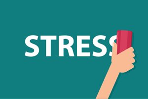 Read more about: Stress Management Tips for Busy Students