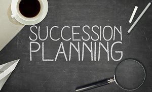 Read more about: Succession Planning and Mentoring