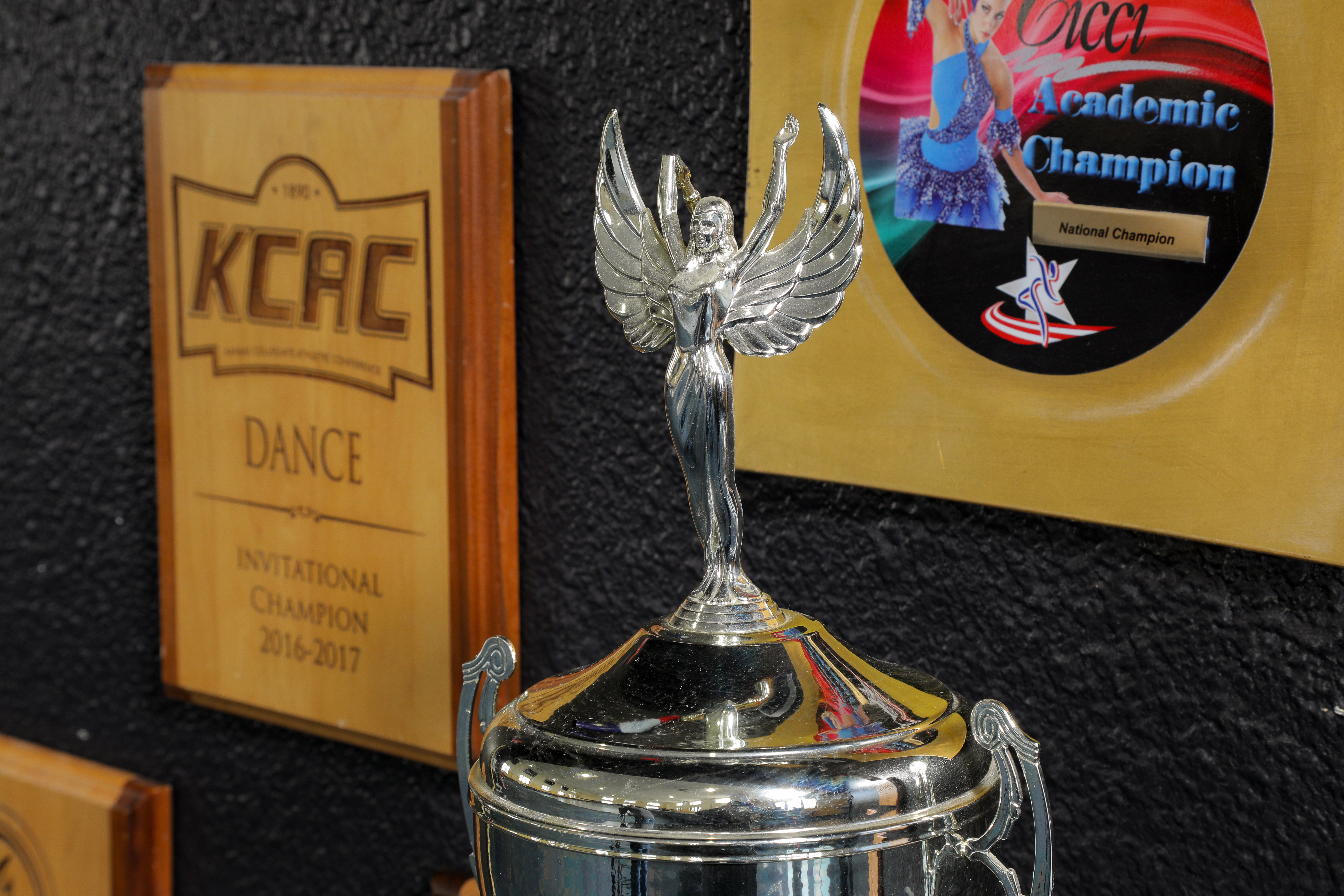 Trophy area