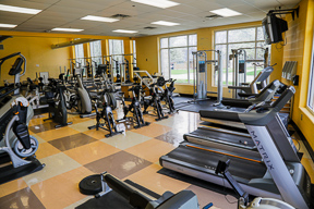 Wellness Center 4