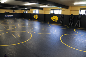 Wrestling Practice area 2